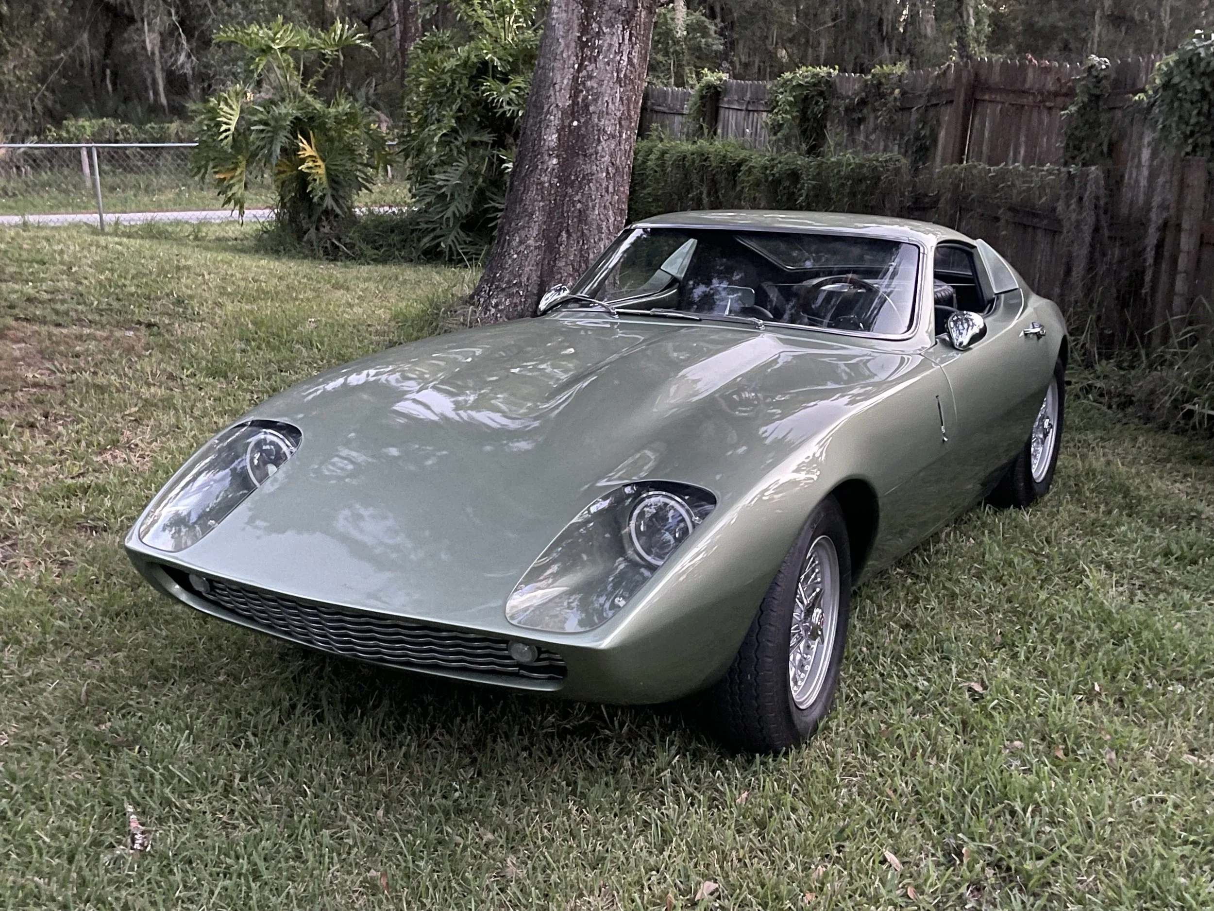 Austin Healy Coupe for sale in Land O Lakes FL | American Fiberfab